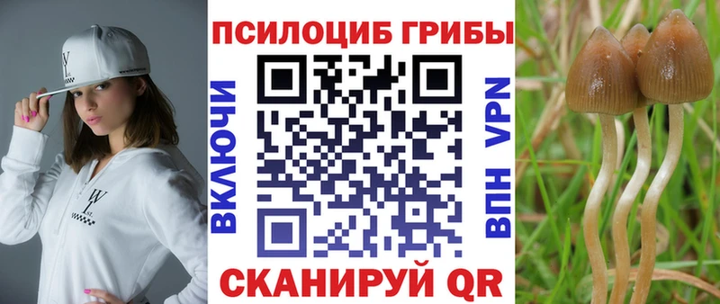 Купить закладки  Крымск  Псилоцибиновые грибы ЛСД 
